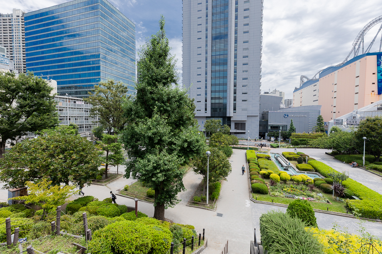 文京区立礫川公園 徒歩約10分(約790m)